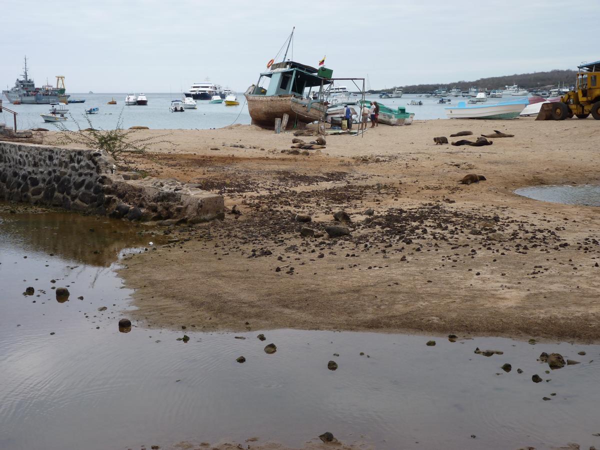 Hostal Nathaly Puerto Baquerizo Moreno Luaran gambar