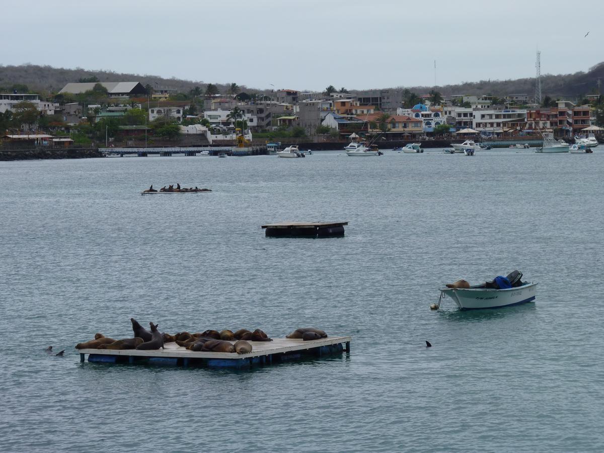 Hostal Nathaly Puerto Baquerizo Moreno Luaran gambar